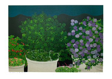 Flower in the Terrace