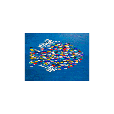 Chaotic Signal (The Rhythm of Life)