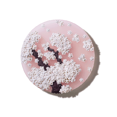 Ode To Full Moon_02301