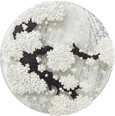Ode to second Full Moon_CWB