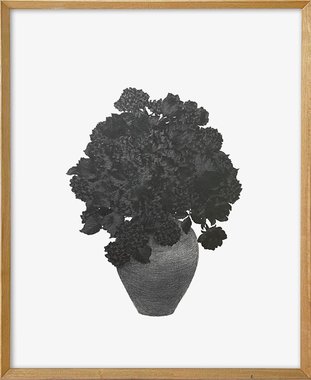 가만히 꽃을 그려보다