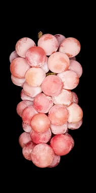 podo20241022 (S)