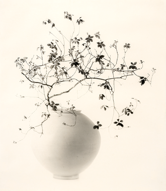 달항아리 진달래