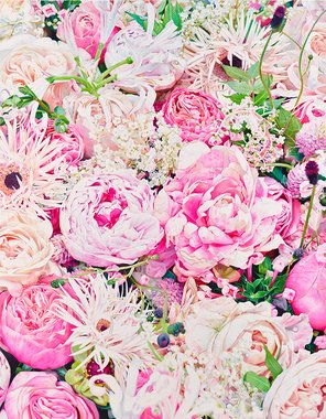 Fresh-m No.19  (50호)