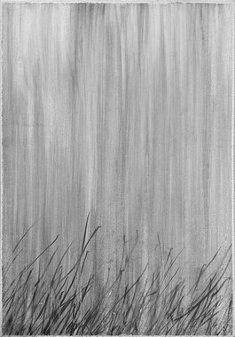 종이 위 연필 습작 Series