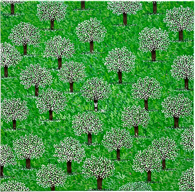 숨지않는 다롱이 (20호)