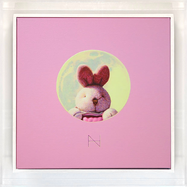 Rabbit in the Moon-Pink (6호)
