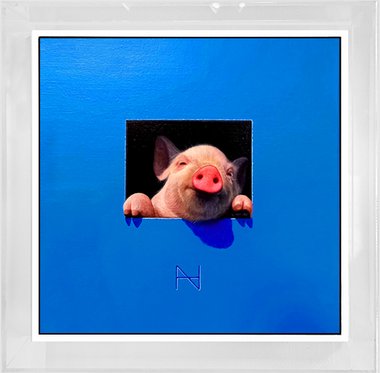 Olivia in the Square Hole  (6호)