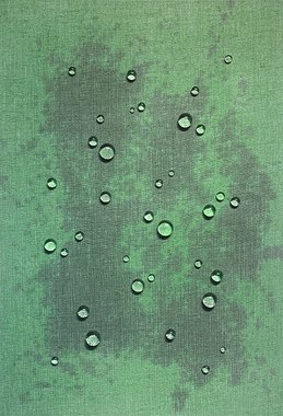 Formation Recollection 5-5  (50호)