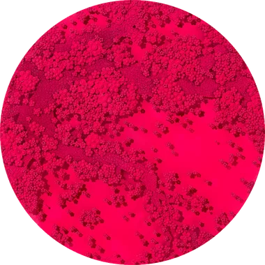 Ode To Seventh Heaven R1/11_aa1 (액자포함)