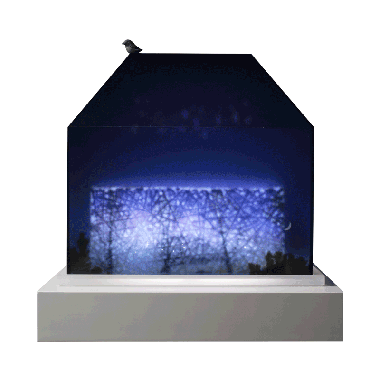 Hope1805-1 새벽달