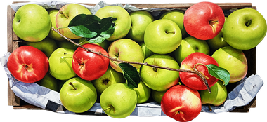 녹색 위의 붉은 사과