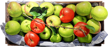 녹색 위의 붉은 사과