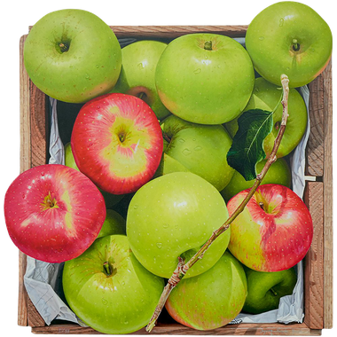 녹색 위에 붉은 사과