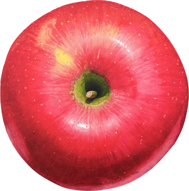 가을 향기 - Cosmos