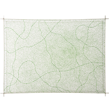 자라나다, 남기다_2 Growing,Tracing_2