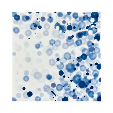 work2406_touban series