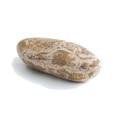 소원의 징검다리