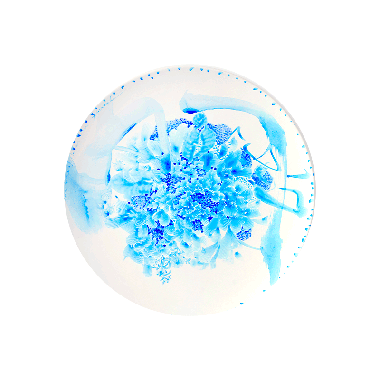 아티스트테이블_안진의