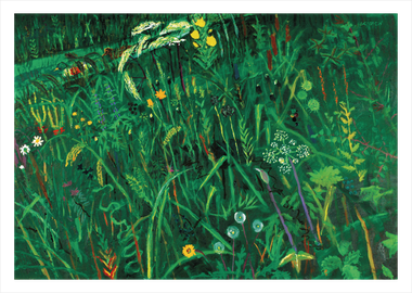 엽서(Wild Grass)
