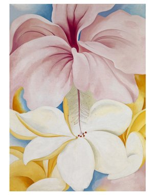 Hibiscus With Plumeria