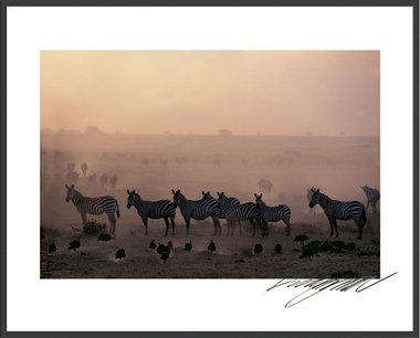 그들의 일상 (액자포함)