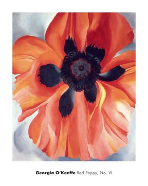 Red Poppy, No. VI, 1928