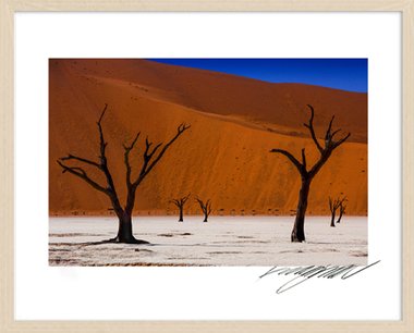 Three Hundred Years L (액자포함)