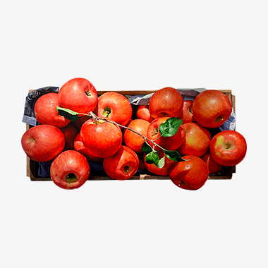 관련 작품 이미지