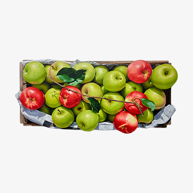 녹색 위의 붉은 사과