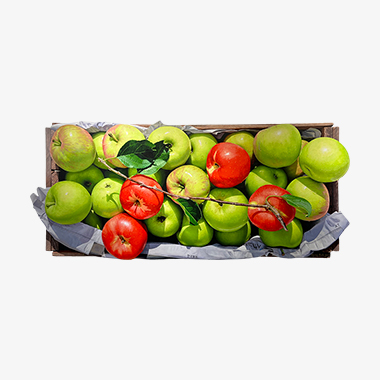 관련 작품 이미지