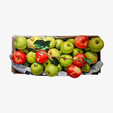 녹색 위의 붉은 사과