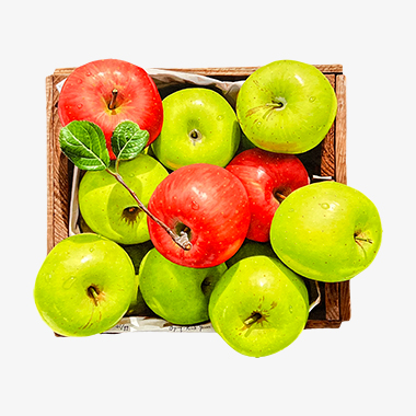 녹색 위의 붉은 사과