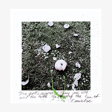 관련 작품 이미지