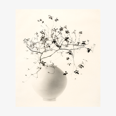 달항아리 진달래