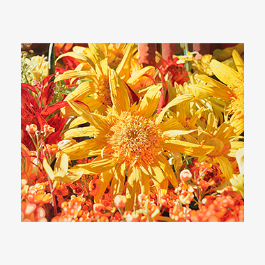 관련 작품 이미지