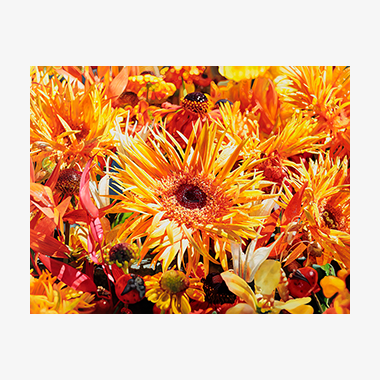 관련 작품 이미지