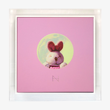 Rabbit in the Moon-Pink