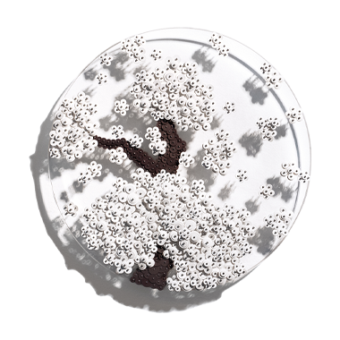 Ode To Full Moon_02225