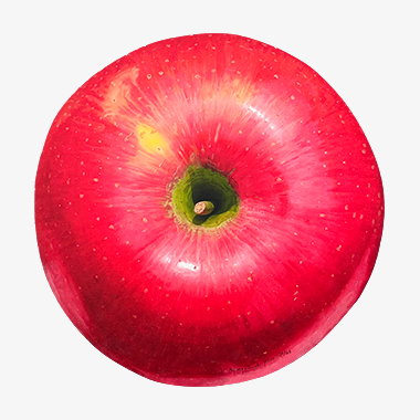 관련 작품 이미지