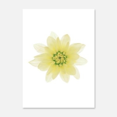 관련 작품 이미지