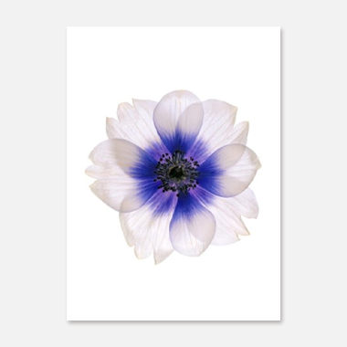 관련 작품 이미지