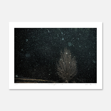 관련 작품 이미지