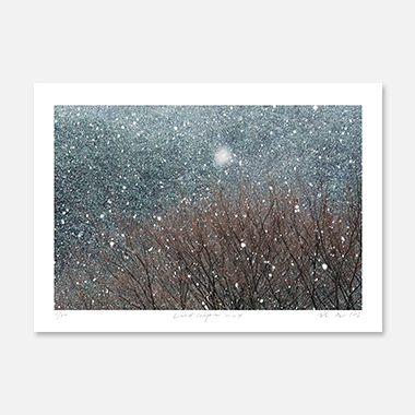 관련 작품 이미지