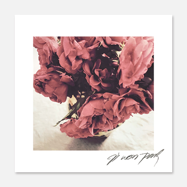 관련 작품 이미지