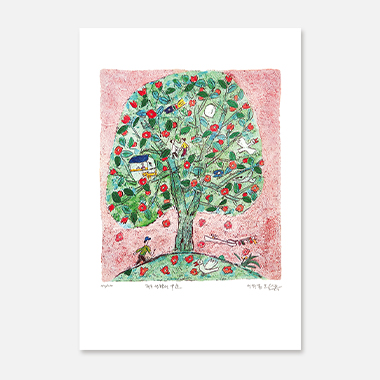 제주생활의 중도 House tree