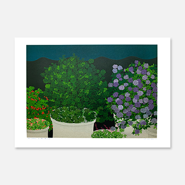 Flower in the Terrace