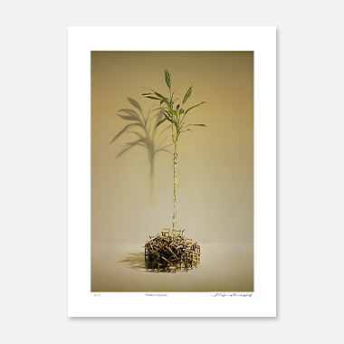 관련 작품 이미지