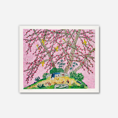 제주생활의 중도 Pink pink