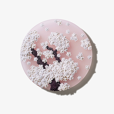 Ode To Full Moon_02301